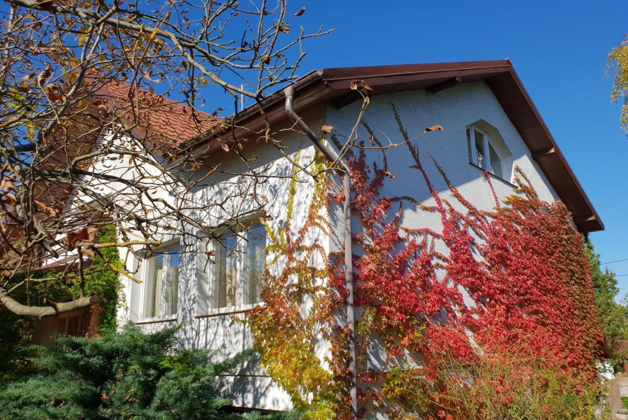 Borowe Kt Villa Warka Exterior photo